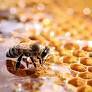 BeeHero's 21st-century approach to beekeeping