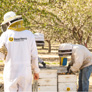 BeeHero looks to help improve pollination efficiency