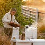 Empowering Orchards: Apple Pollination Research