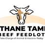 CH4 Global launches natural feed supplement Methane Tamer™ Beef Feedlot