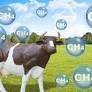 How is the toolkit for methane emissions reduction in dairy and beef cows expanding?