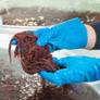 Green light for world-first seaweed farm