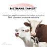 CH4 Global’s Methane Tamer Raises $29 Million: Showing the Path to Sustainable White Revolution in India, Brazil, Australia, and the USA