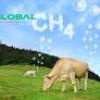 Methane-fighting start-up CH4 Global raises total investment to US$47 million