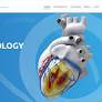 French startup inHEART raises €3.7 million to improve cardiac treatments with medical imaging and AI